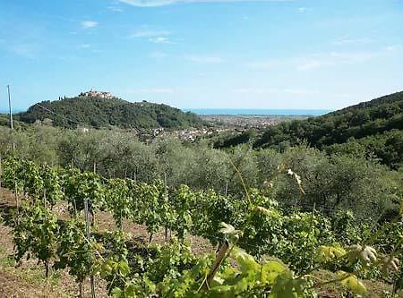 La Sarticola Villa Luni Eksteriør billede