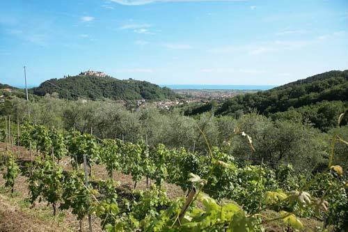 La Sarticola Villa Luni Eksteriør billede